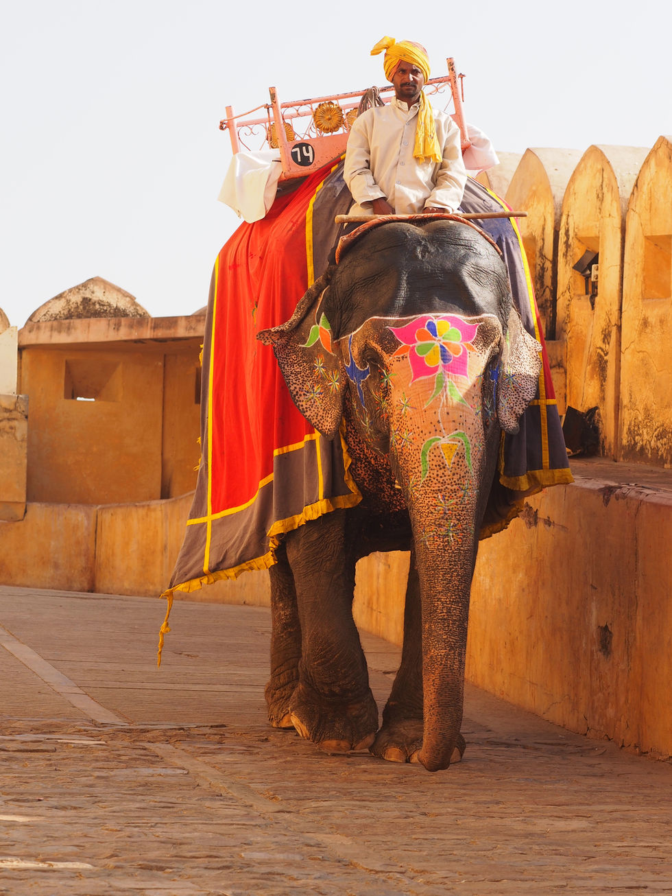 a man is riding an elephant with the number 70 on the back
