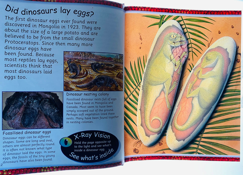 Children's nonfiction book illustration of X Ray view of Dinosaur Eggs, showing outside and inside. Series created and designed by David Salariya.