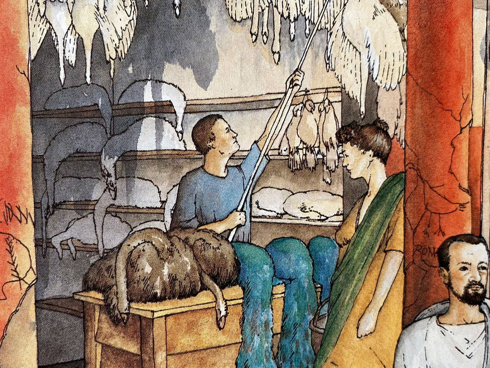 Shop from Pompeii selling peacocks and ostrich . Illustration by David Salariya