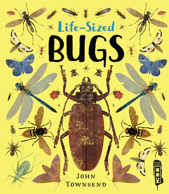 Front cover of children's information book, yellow cover with print style illustrations  created and designed by David Salariya