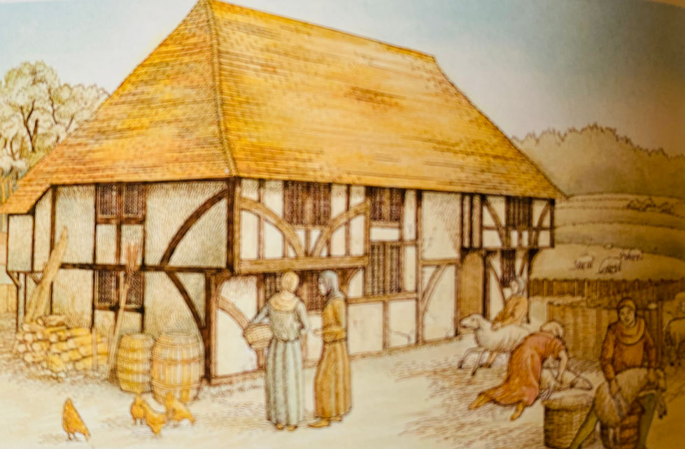 Non-fiction, A Children's History of Britain and Ireland. During the 15th Century "yeomen" (free) farmers became increasingly prosperous, particularly if they had flocks of sheep. illustration by David Salariya