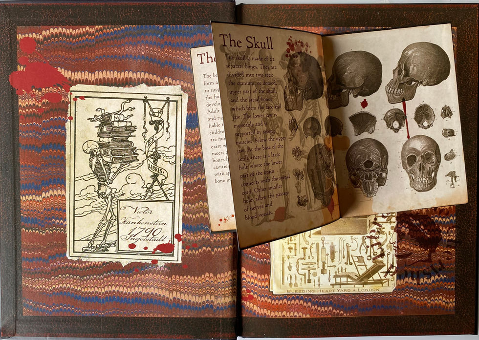 The Secret Journal of Victor Frankenstein On The Workings Of The Human Body