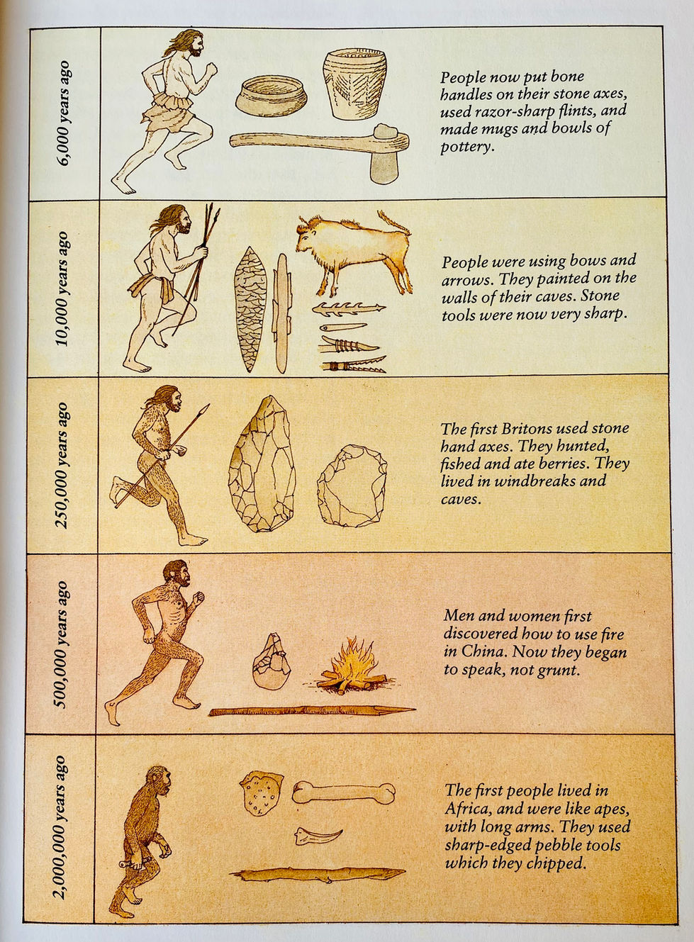 Non fiction book illustration. A Children's History of Britain and Ireland. Illustrated by David Salariya. Brown line illustration to show first people in Africa 2,000,000 years ago to 6000 years ago.