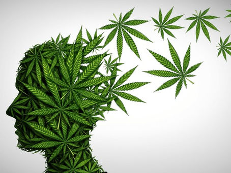 Unraveling the Complex Relationship Between Cannabis and Psychosis