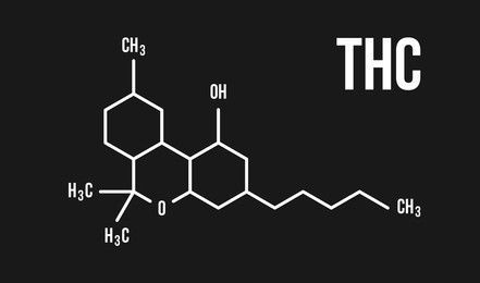 Exploring the World of Cannabinoids: Nature's Multifaceted Compounds