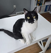 Minnie.jpg