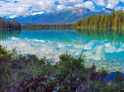 JNP Canada  10137_edited.jpg