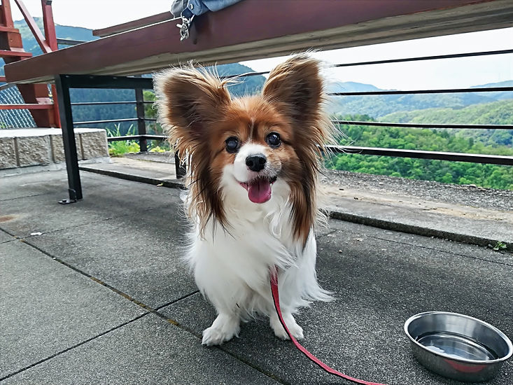 IMG_20190506_124236_edited.jpg