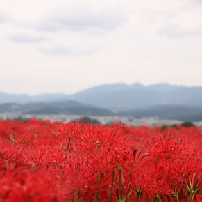 他人を納得させなくていい。