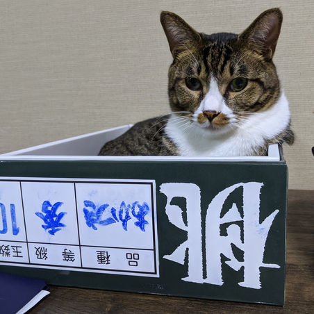 三脈について