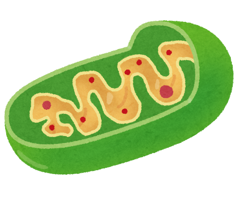 ree