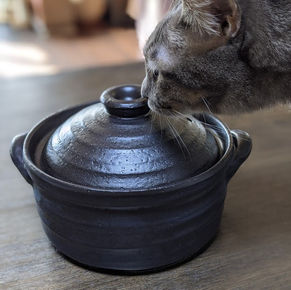 原点回帰