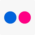 Flickr Social Icon