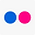 Flickr Social Icon
