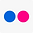 Flickr Social Icon