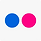 Flickr Social Icon