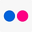 Flickr Social Icon