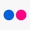 Flickr Social Icon