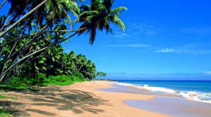 Playa paradisíaca