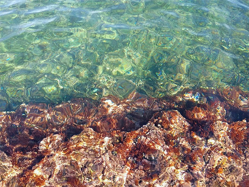 WhatsApp Image 2019-11-18 at 12.32_edite