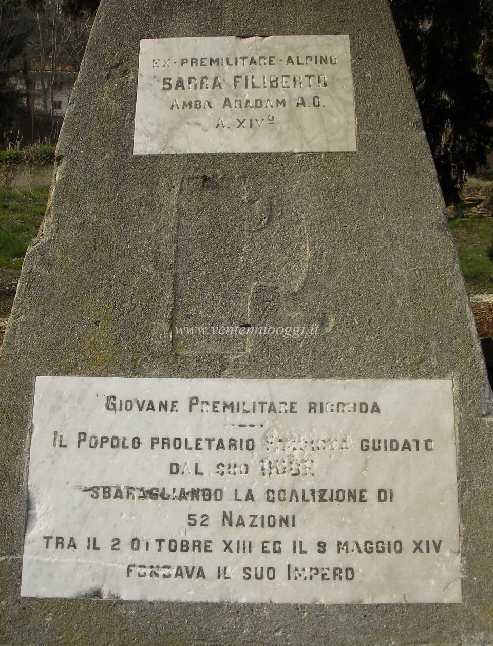 Frassino