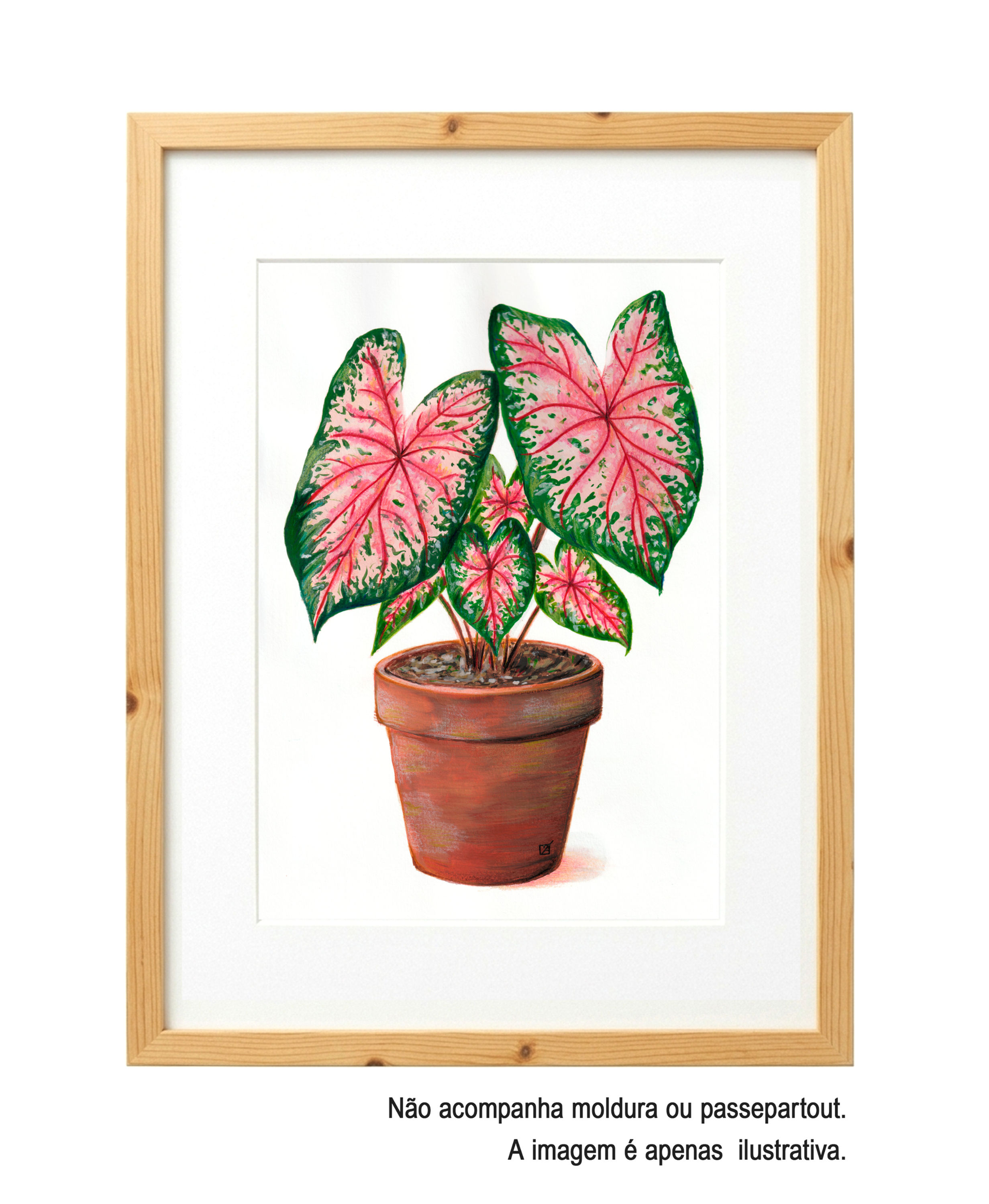 Pintura Original Caladium em Guache e Lápis - Tamanho 29,7 x 21 cm
