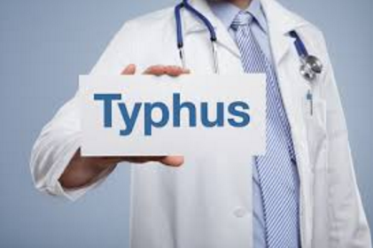 Alerte : faites attention au typhus du chat !