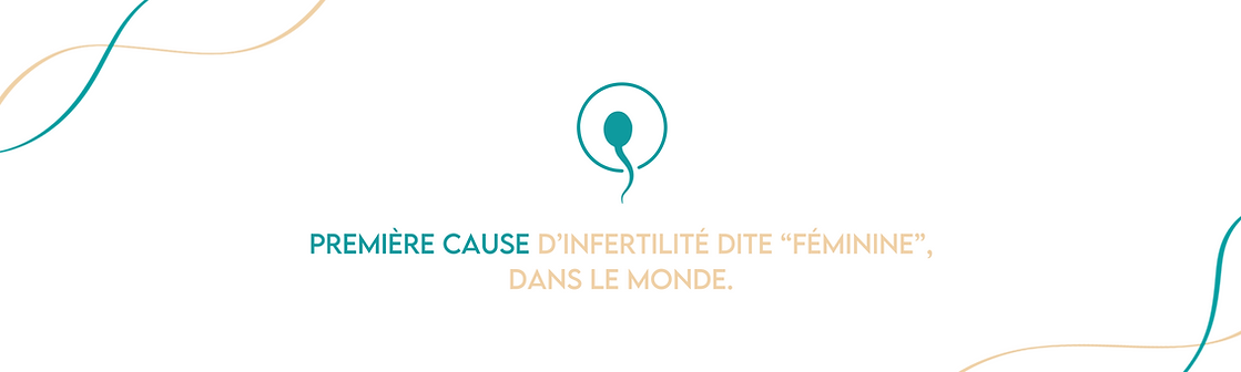 9198734D-7C5E-4560-B865-B7212F52EE7F.png