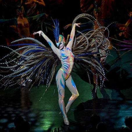 La reconversion des danseurs.