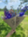 IMG_6503.jpeg