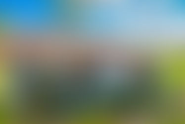 East Side and West Side Heritage Corridors “Team Up to Spruce Up”