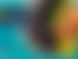 Salmón al sartén o la plancha