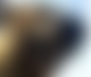 Blog-Bertemu beruang liar