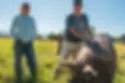 Local farmers and stock animals.