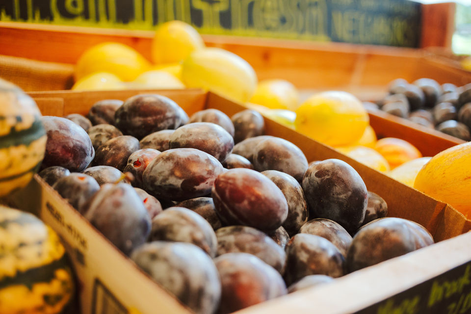 Fresh local fruits on shelves in Clatskanie Food Hub.