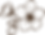 OHF FLOWER1 CLINKER RGB 900PX W 300PPI.png