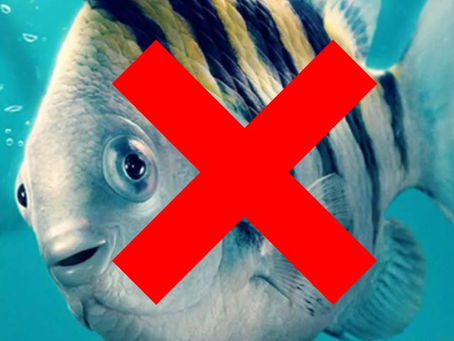 I Saw The Little Mermaid So You Don't Have To