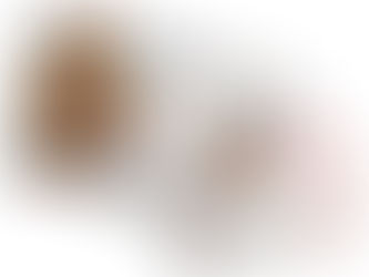 49. Vereinsmeisterschaft im Skat