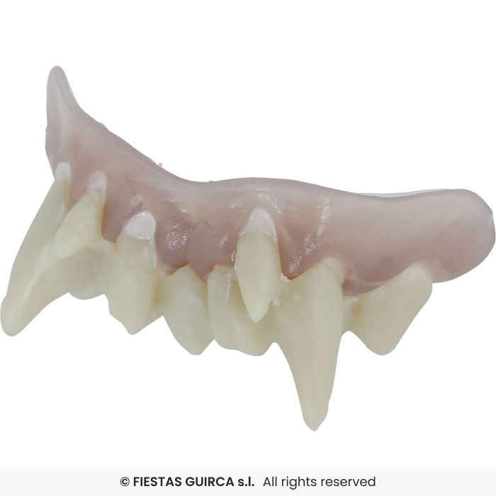 Miniatyrbilde: Monster denture h.q. with thermoplastic resin. 20912