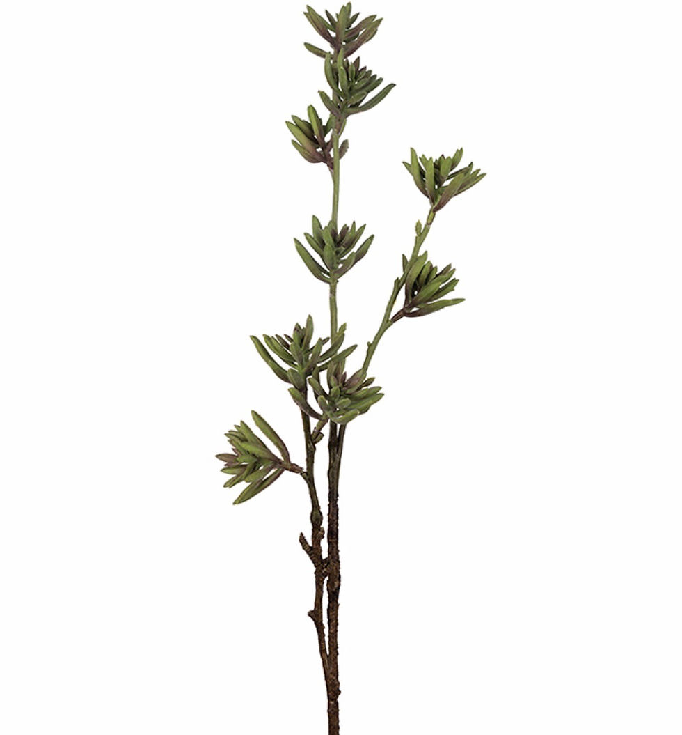 Sukkulent 75 cm 9910-02
