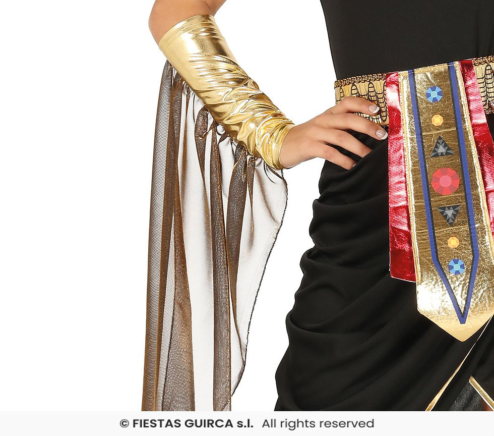 Miniatyrbilde: Egyptian queen. 77337