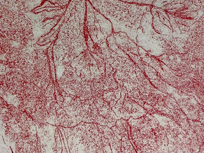 "Kashmakash" - Kumudini Hajra by YCC