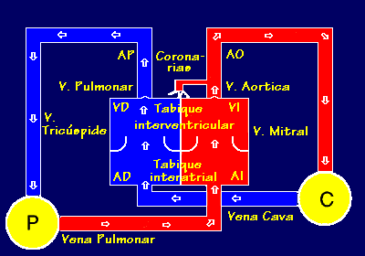 cornomal.gif