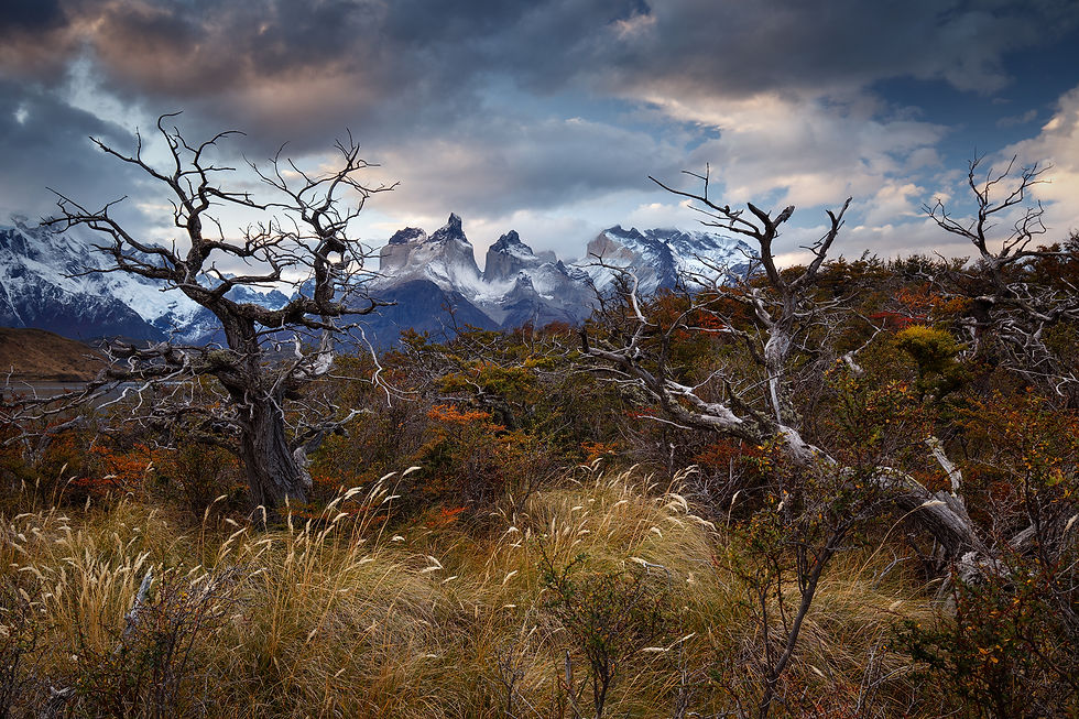 Parque Nacional Torres del Paine, Cile 2016