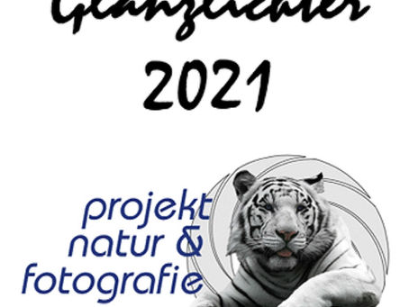 Premiato in Germania: Glanzlichter 2021