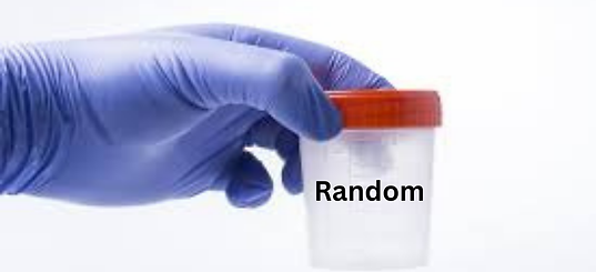 Untitled design (12).png