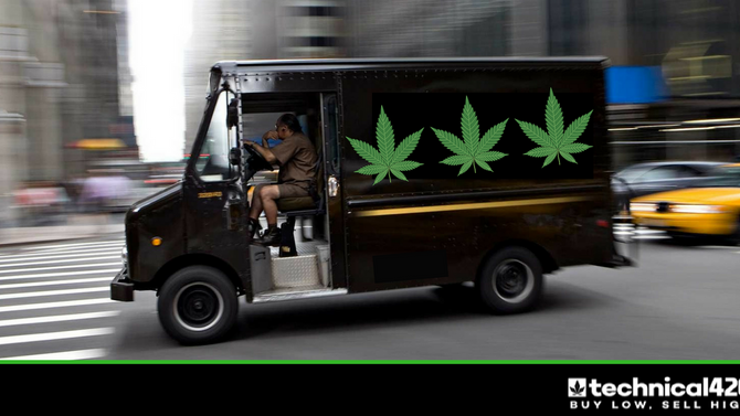 How to Find the Best Cannabis Provider For Your Needs