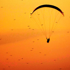 Hang glider