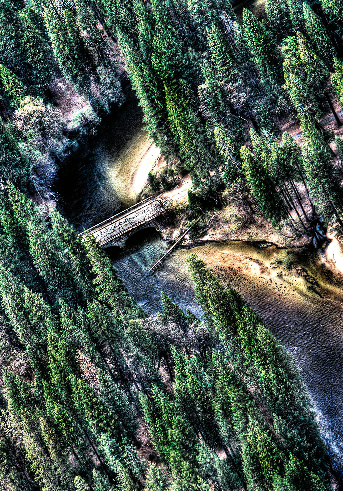 Yosemite. Winding River