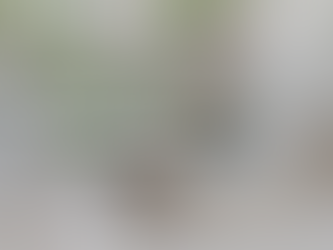 Eventos São Paulo: hospedagem George V Alto de Pinheiros